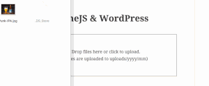 dropzonejs-wordpress