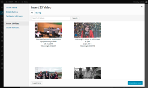 Insert from 23 Video